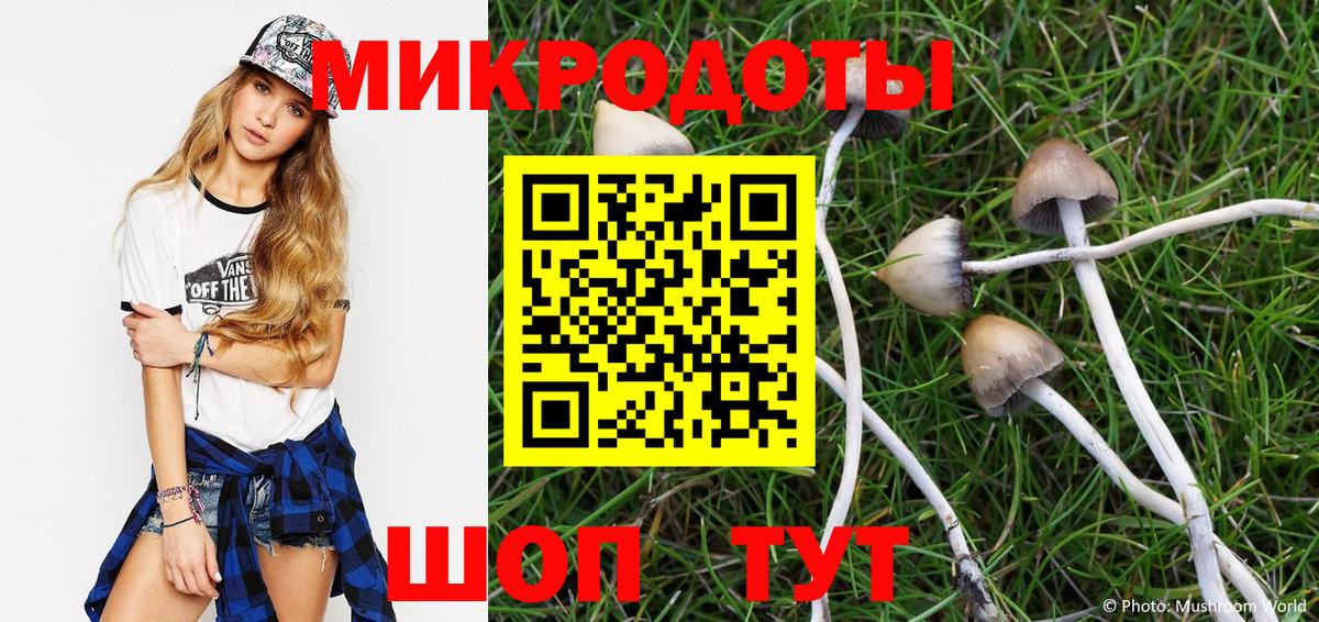 Галлюциногенные грибы мицелий  Псилоцибиновые грибы Psilocybine cubensis  Менделеевск  Вход с VPN 